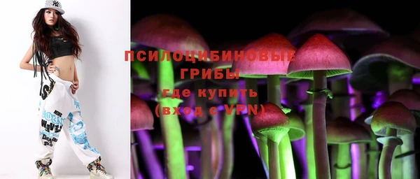 амф Лабытнанги