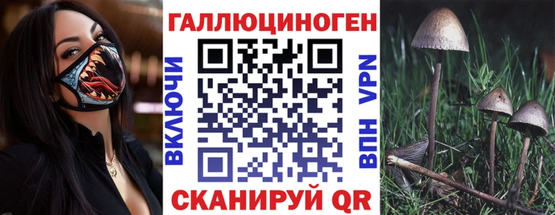 купить наркотик  Елизаветинская  Псилоцибиновые грибы ЛСД 